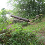 Cannon at Ballynahinch