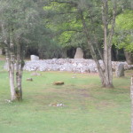 Central ring cairn