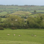 Dowth - view from Knowth